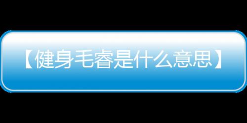 【健身毛睿是什么意思】路过的蚂蚁也要称赞是什么梗