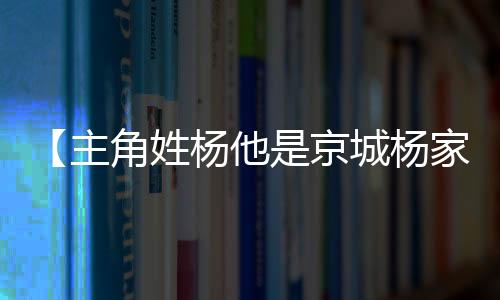 【主角姓杨他是京城杨家少爷】篮球一级运动员