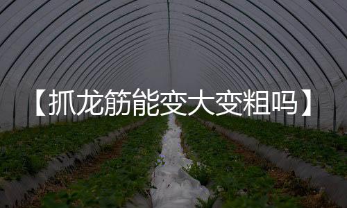 【抓龙筋能变大变粗吗】玻璃水冻住了加盐能解冻吗