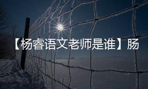 【杨睿语文老师是谁】肠梗阻出院后吃什么好