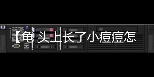 【龟 头上长了小痘痘怎么回事】金牛座2021年